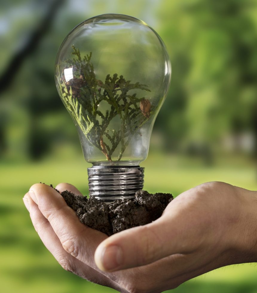 sustainable-development-goals-still-life